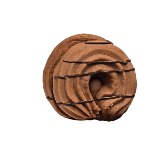 Striped Praline & Cocoa Ring Cookie